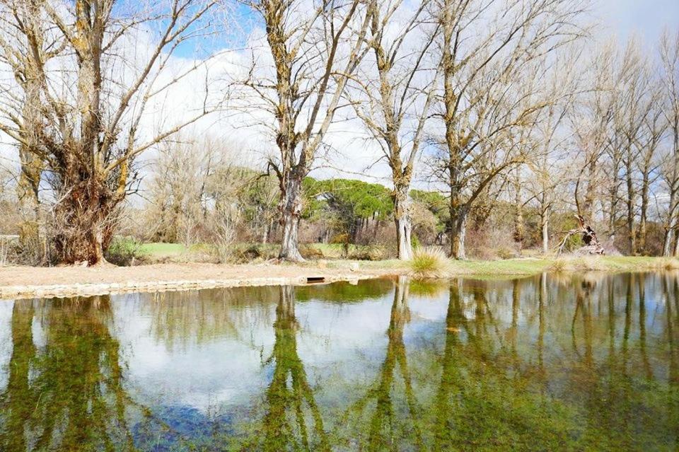 Affittacamere El Perfume Del Almendro Quintanilla del Agua Esterno foto