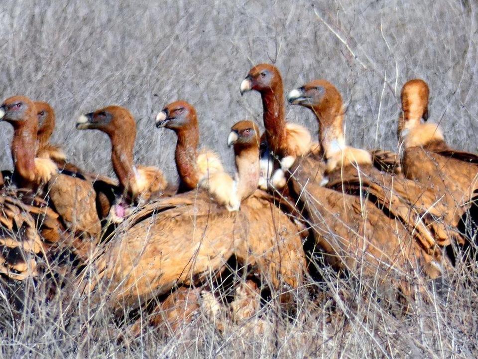 Affittacamere El Perfume Del Almendro Quintanilla del Agua Esterno foto